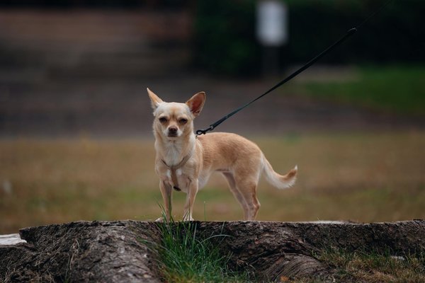 How Does the UK's Climate Affect Year-Round Sports Participation?